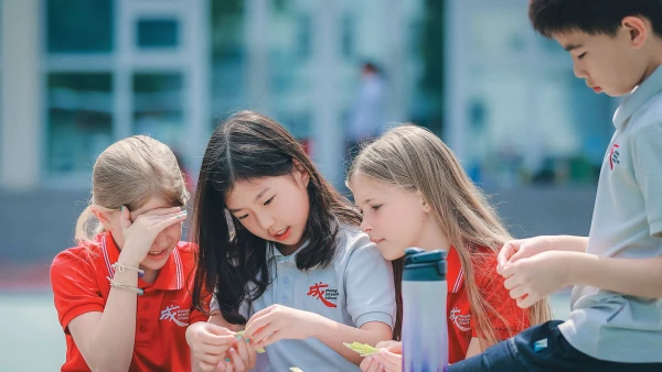 four students learning together about chengdu international school plant life outside