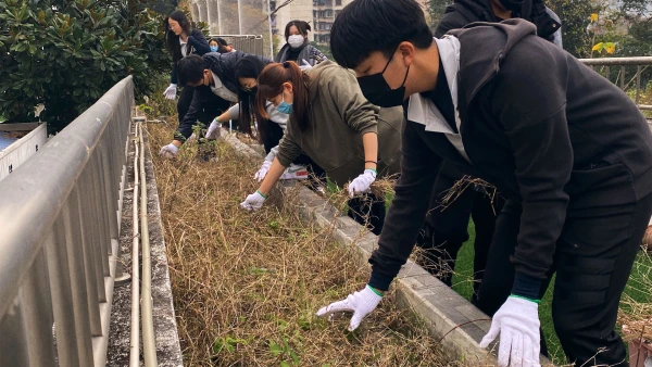 masked students cleaning the garden about chengdu international school